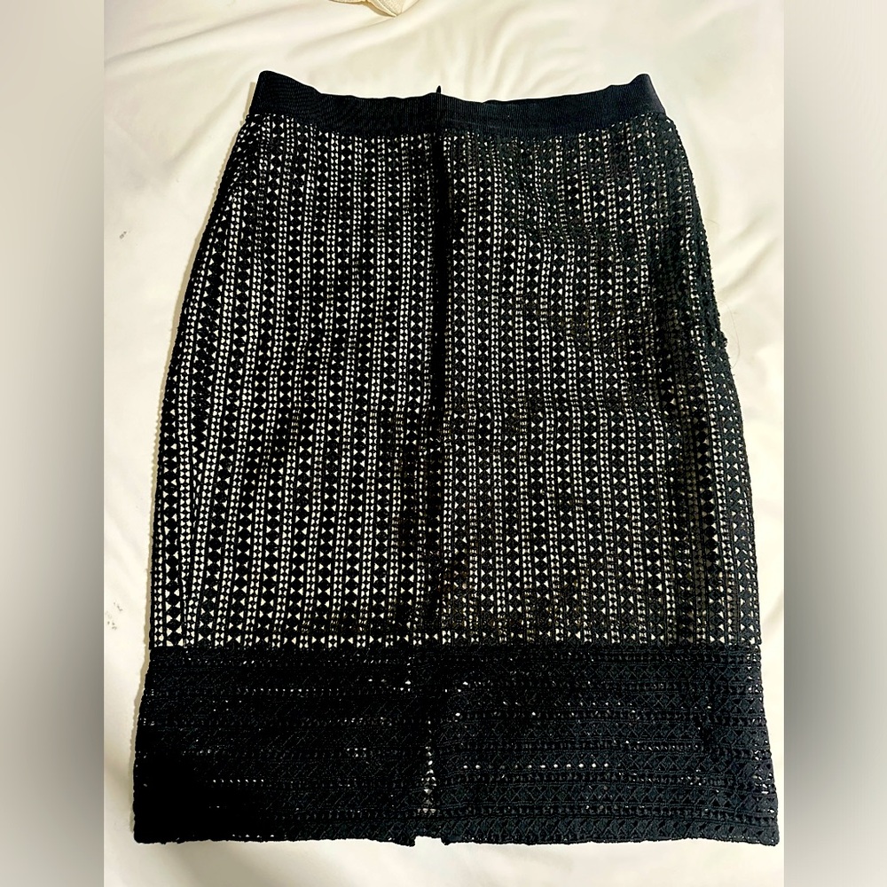 Ann Taylor Lace Solid Skirt